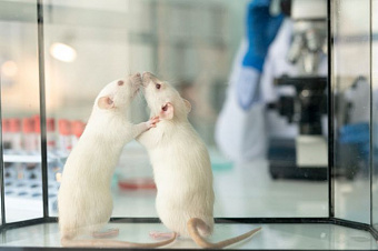 FDA откажется от испытаний препаратов на животных
